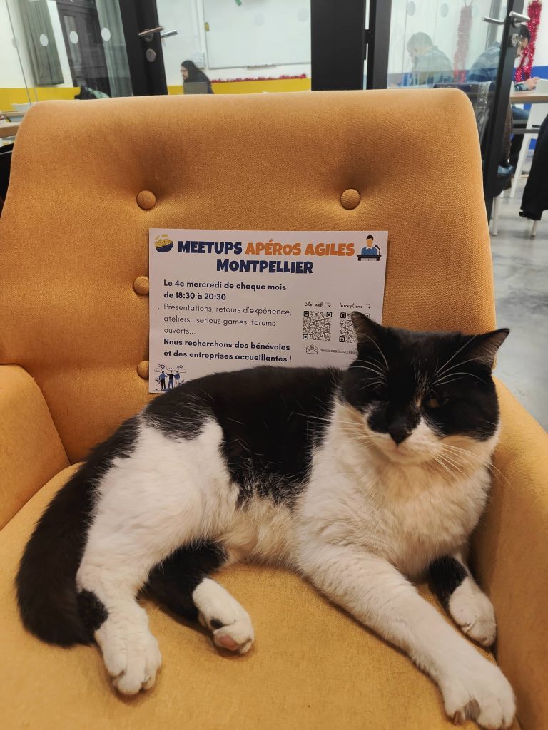 Apéro agile : agilité et résilience